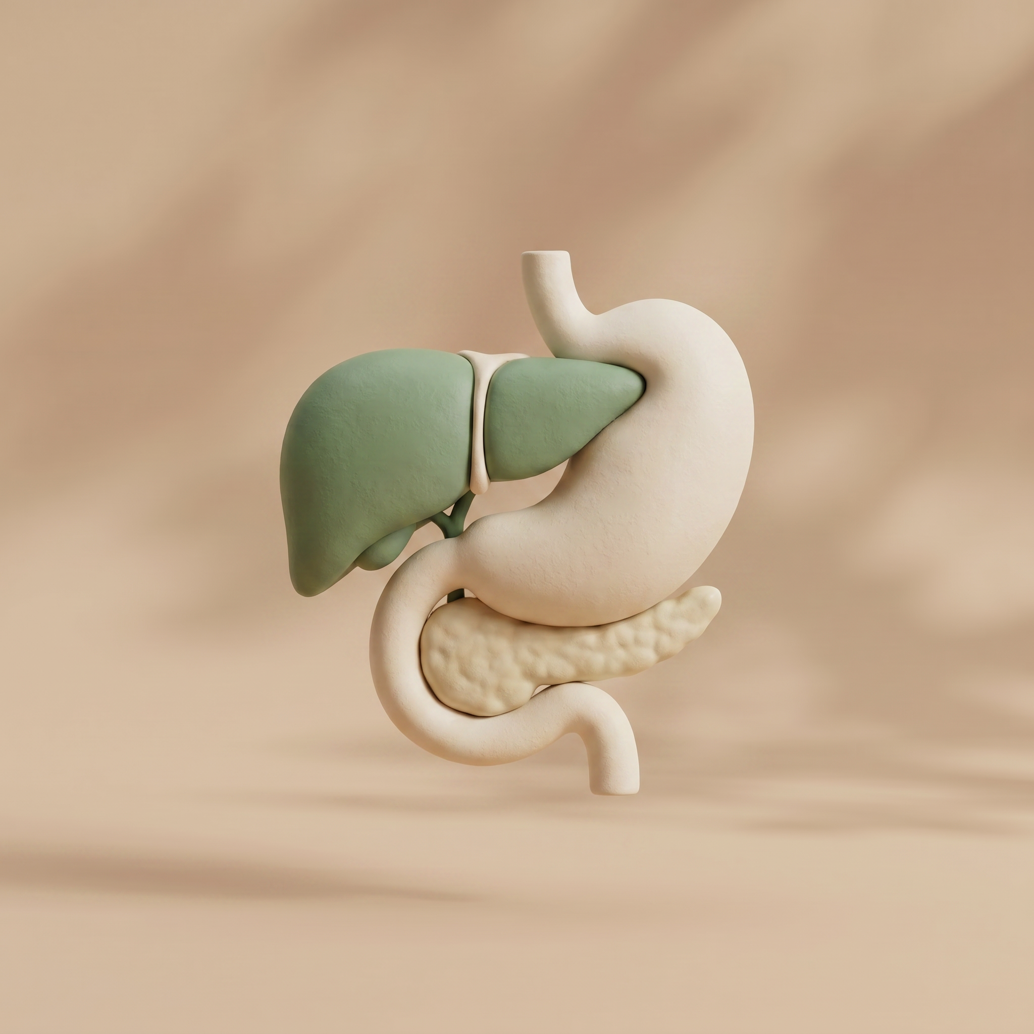 Gut & Metabolism