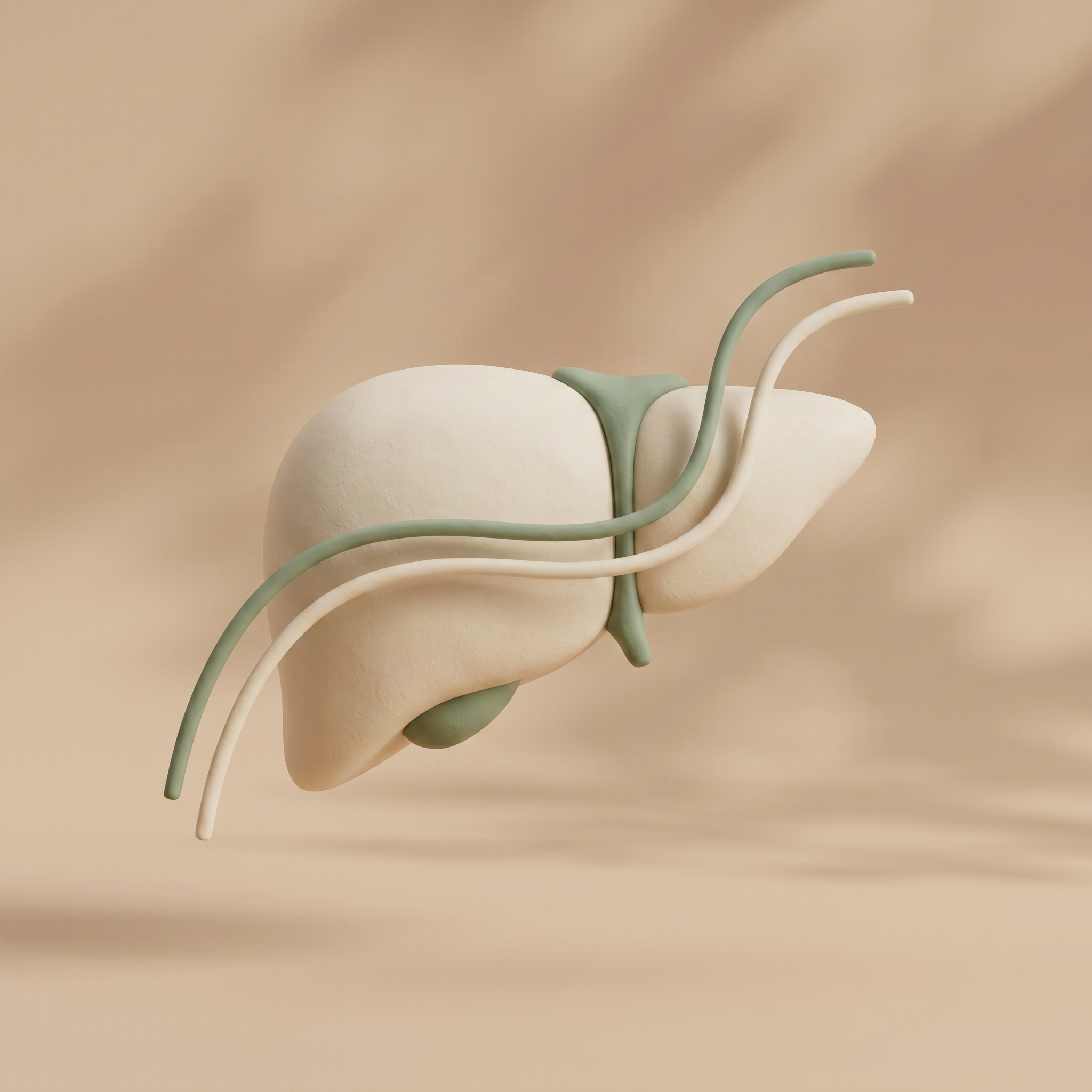 Liver Support