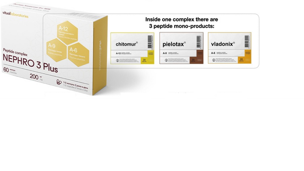 Nephro 3 Plus Peptide Complex with Pielotax, Chitomur & Vladonix