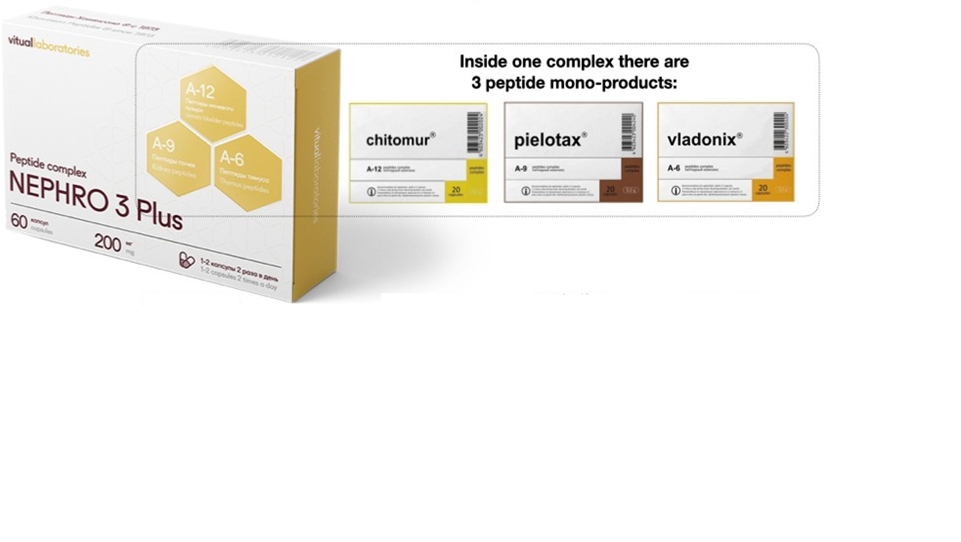 Nephro 3 Plus Peptide Complex with Pielotax, Chitomur & Vladonix