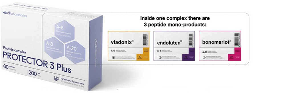 Protector 3 Plus Peptidkompleks med Endoluten, Vladonix og Bonomarlot