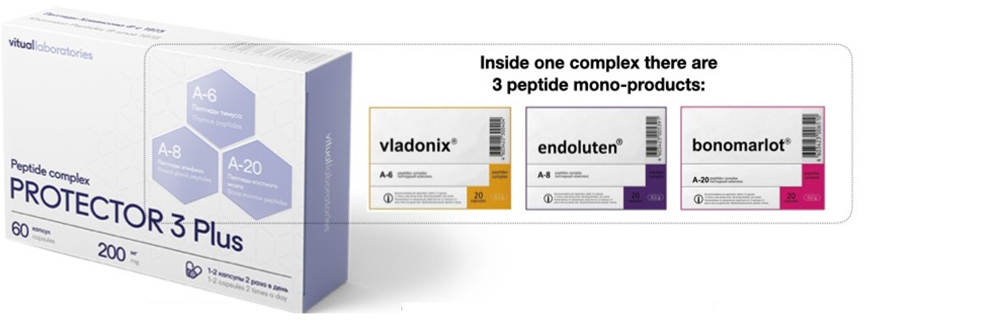 Protector 3 Plus Peptide Complex with Endoluten, Vladonix & Bonomarlot