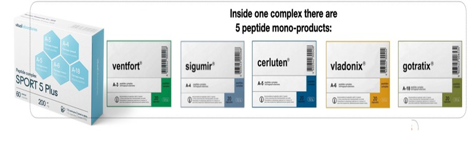 Recovery 5 Plus Peptide Complex with Ventfort, Sigumir, Cerluten, Vladonix & Gotratix