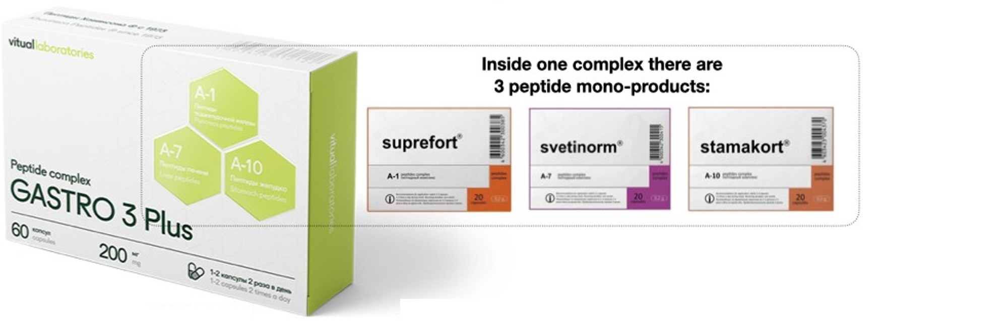 Gastro 3 Plus Peptide Complex with Suprefort, Svetinorm & Stamakort