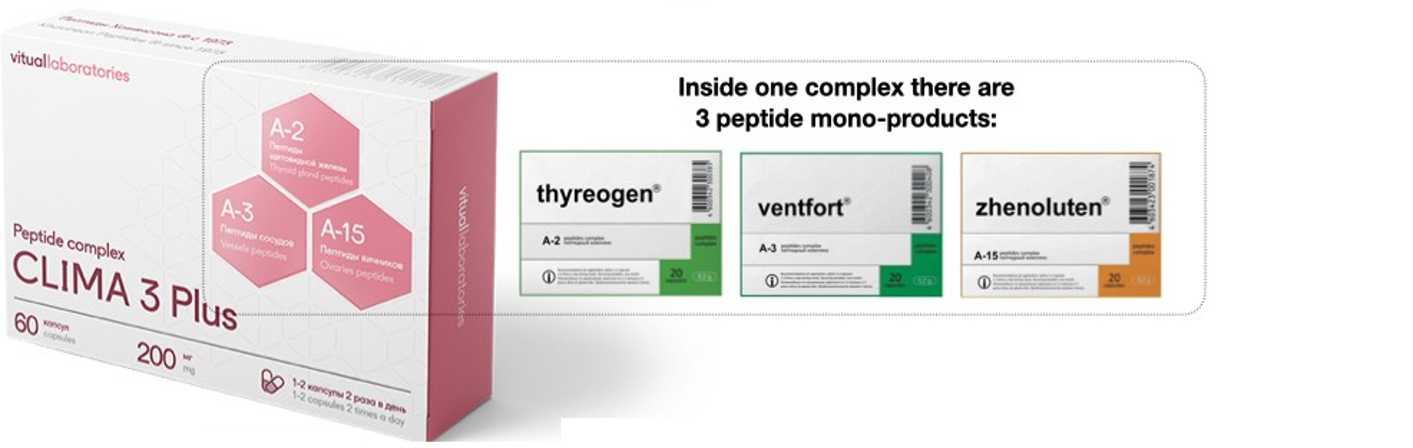 Lady 3 Plus Peptide Complex with Zhenoluten, Thyreogen & Ventfort